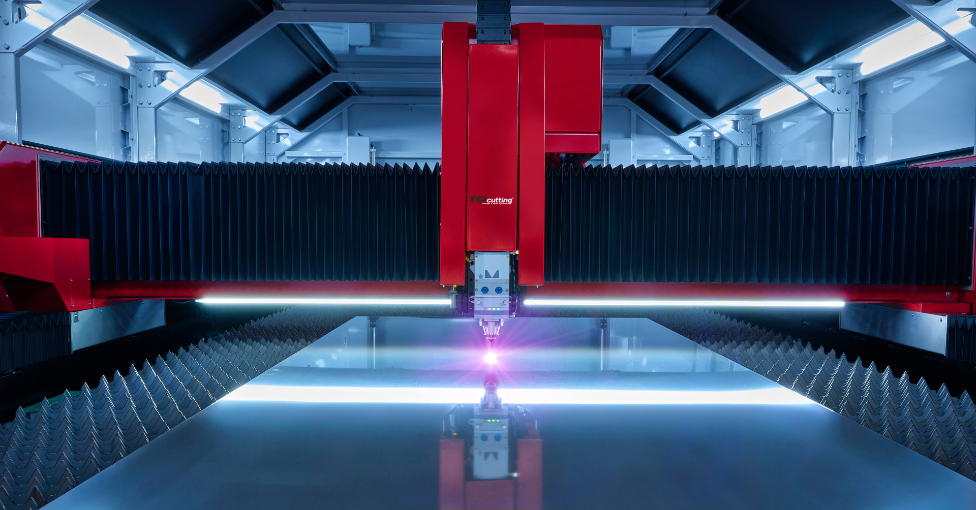 TCI Cutting head cutting veneer with intense pink laser beam