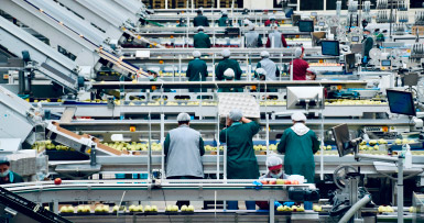 miniatura industria alimentacion 1