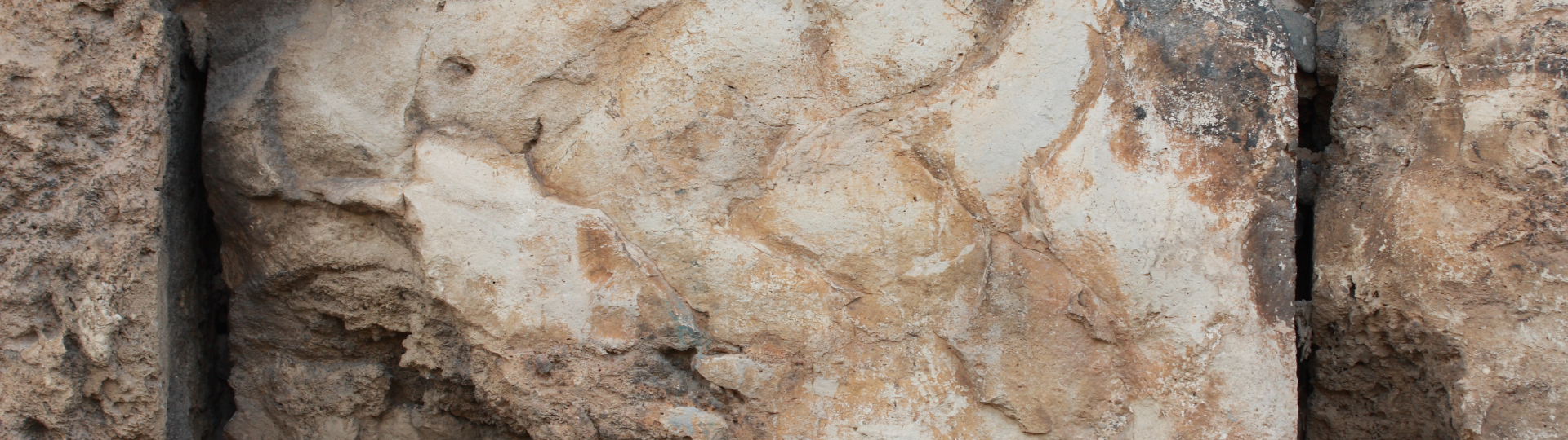 Weathered beige stone surface with pits, cracks and earthy mineral stains